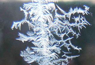 Image of frost on a window pane